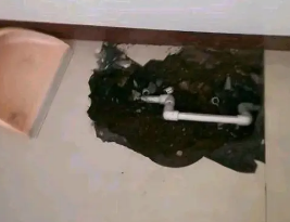 桃山卫生间测漏水多少钱